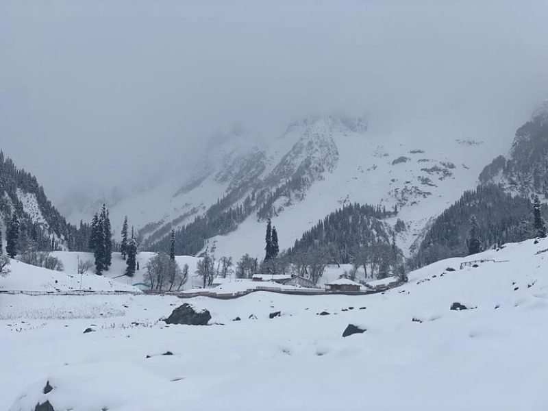 Yusmarg – Jammu and Kashmir