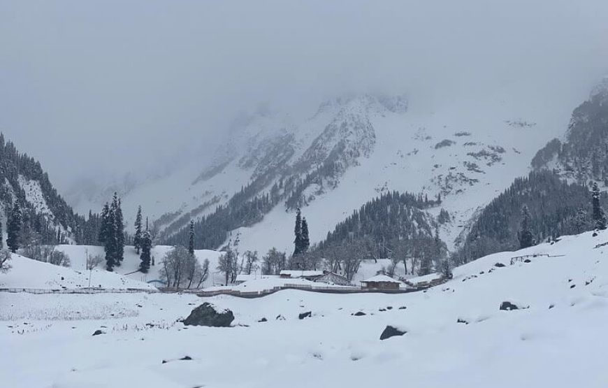 Yusmarg – Jammu and Kashmir
