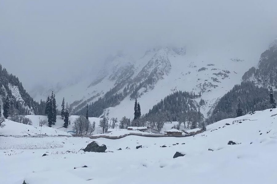 Yusmarg – Jammu and Kashmir
