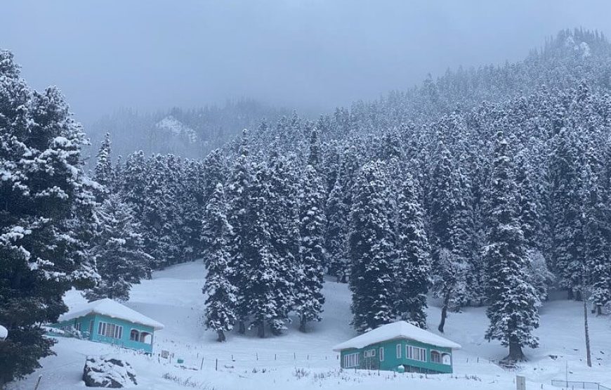 Yusmarg – Jammu and Kashmir