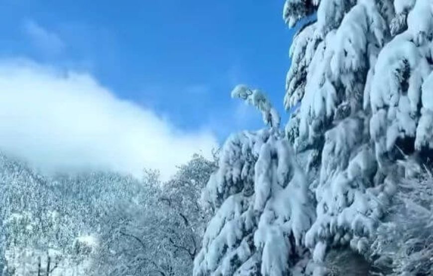 Yusmarg – Jammu and Kashmir