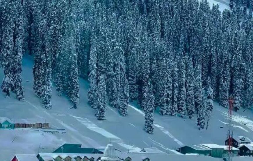 Yusmarg – Jammu and Kashmir