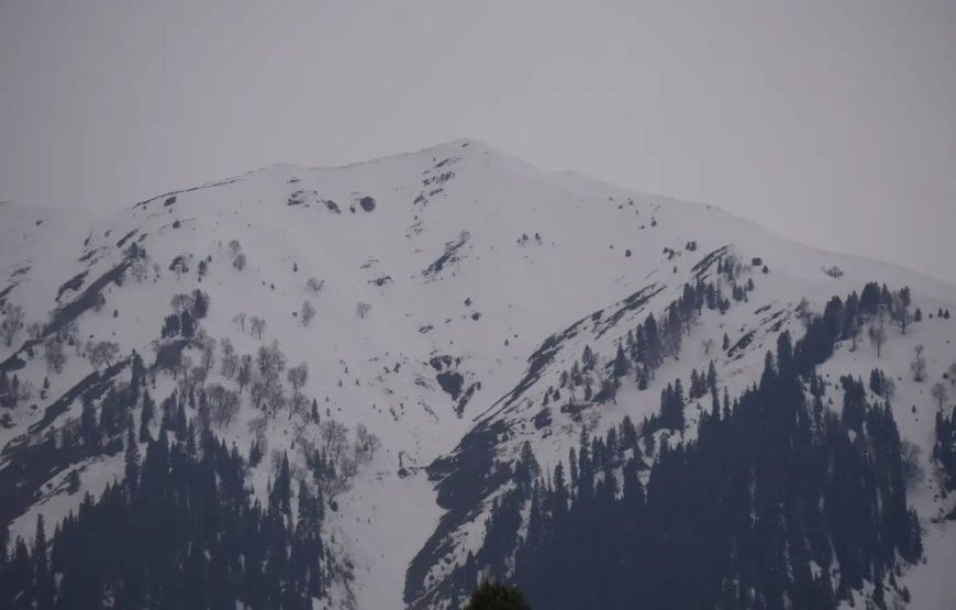 Doodhpathri – Jammu and Kashmir