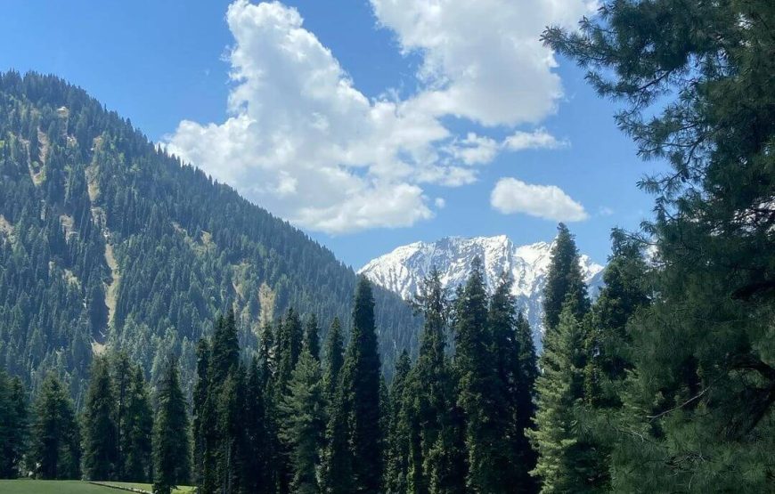 Aru Valley – Jammu and Kashmir