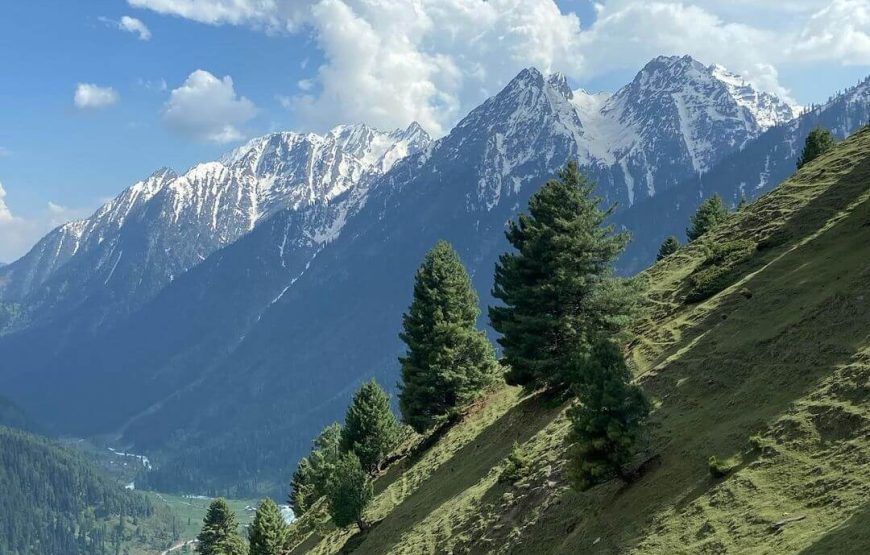 Aru Valley – Jammu and Kashmir