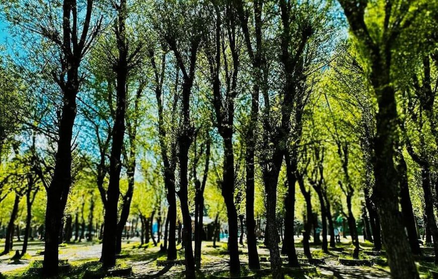 Gulmarg – Jammu and Kashmir