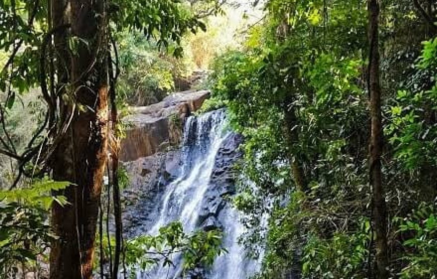 Hanumana Gundi Falls – Karnataka