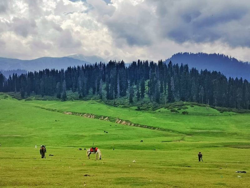 Doodhpathri – Jammu and Kashmir
