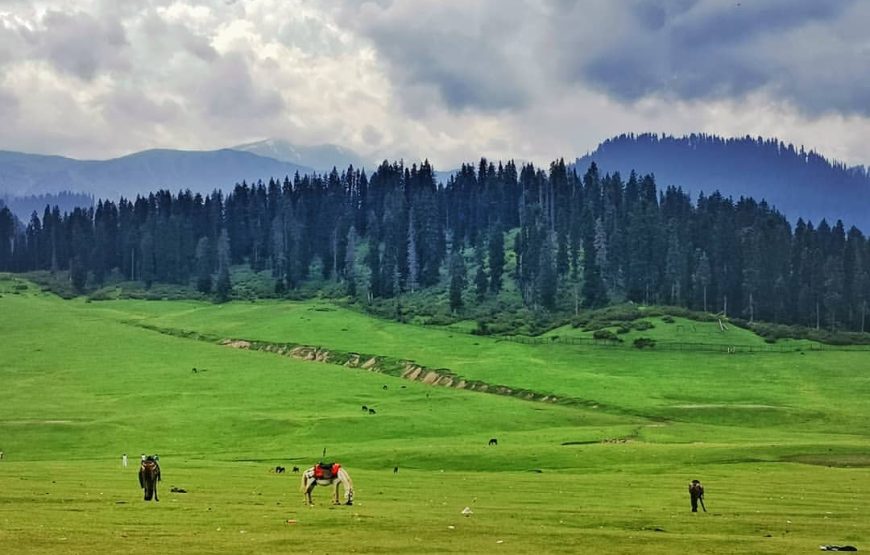 Doodhpathri – Jammu and Kashmir