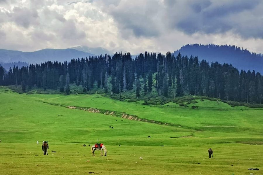 Doodhpathri – Jammu and Kashmir