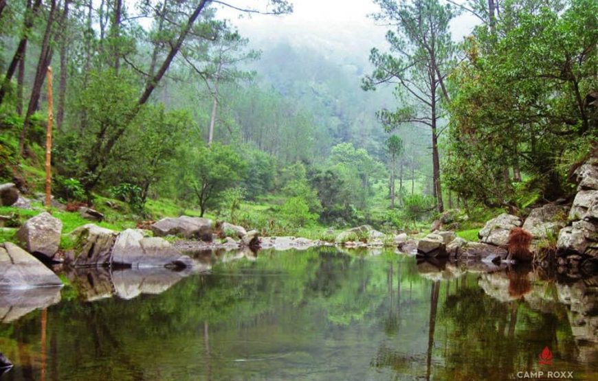 Kangojodi- Himachal Pradesh