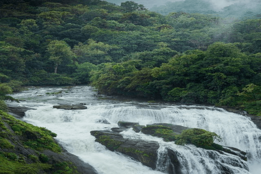 Mallalli Falls – Karnataka