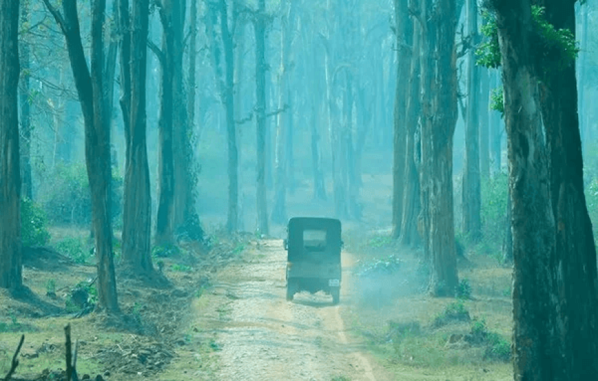 Dubare Elephant camp – Karnataka