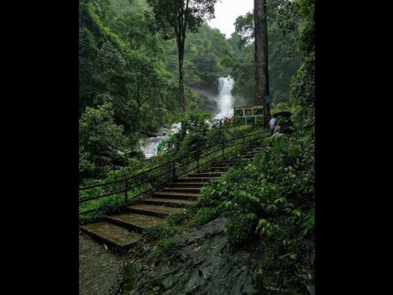 Iruppu Falls – Brahmagiri, Karnataka