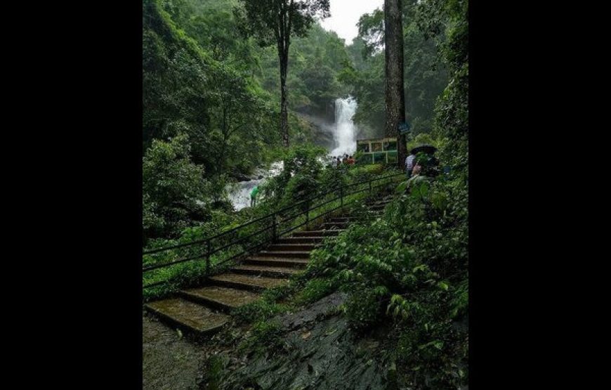 Iruppu Falls – Brahmagiri, Karnataka