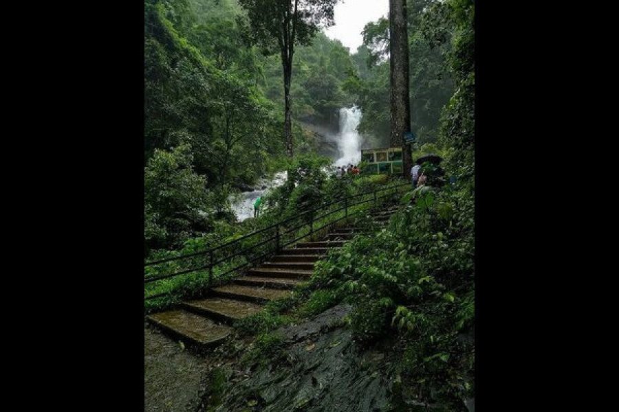 Iruppu Falls – Brahmagiri, Karnataka