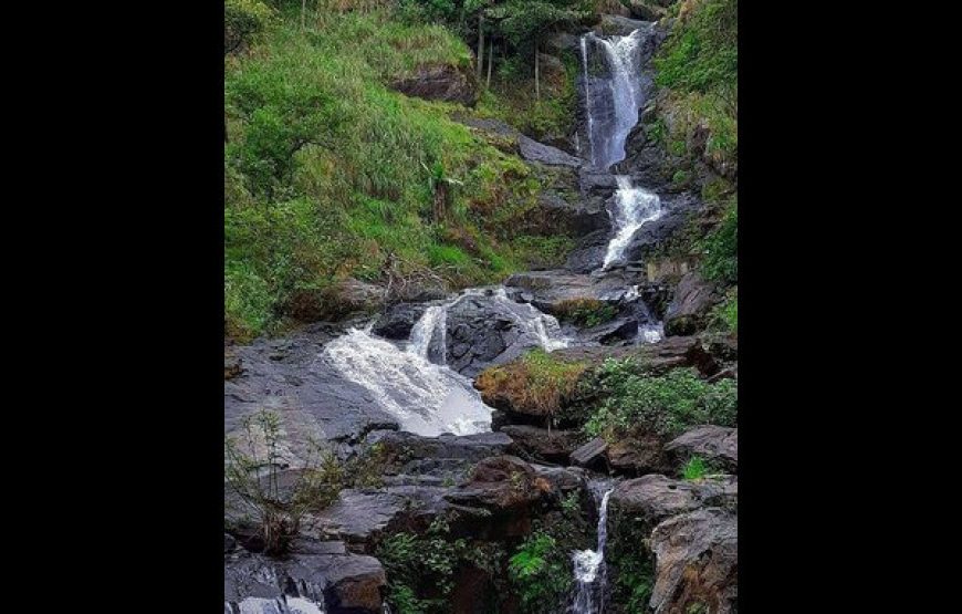 Iruppu Falls – Brahmagiri, Karnataka