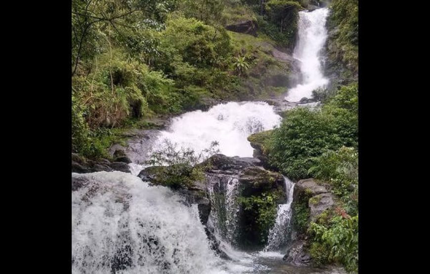 Iruppu Falls – Brahmagiri, Karnataka