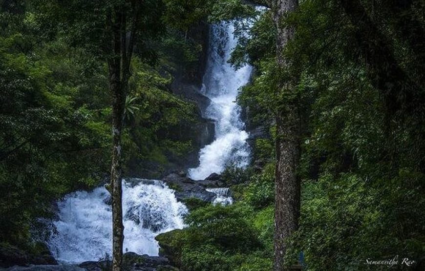 Iruppu Falls – Brahmagiri, Karnataka