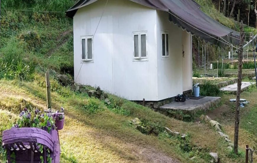 Kangojodi- Himachal Pradesh