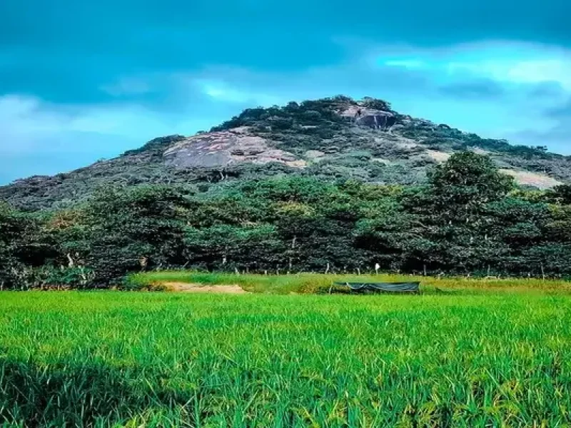 Kundadri Hills – Karnataka