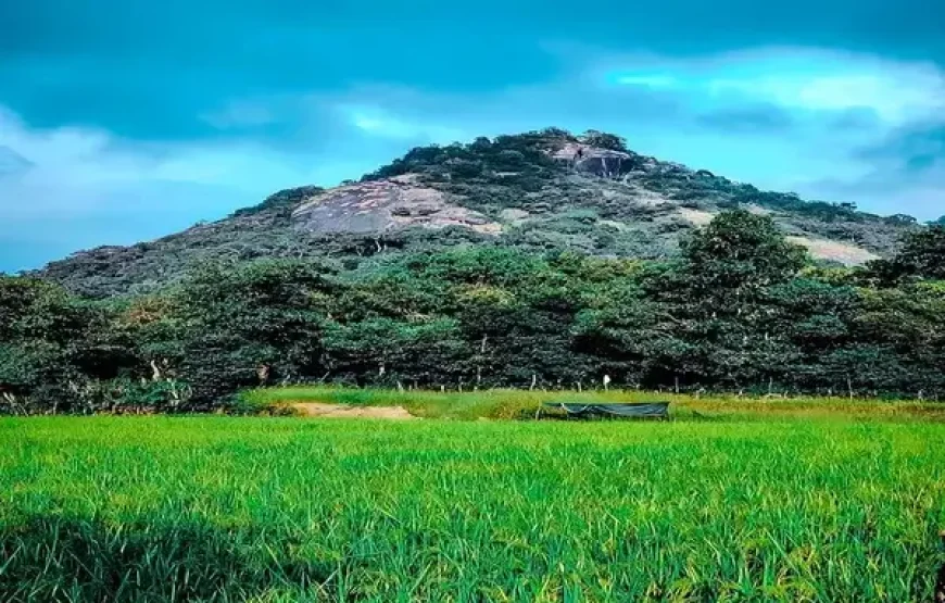 Kundadri Hills – Karnataka