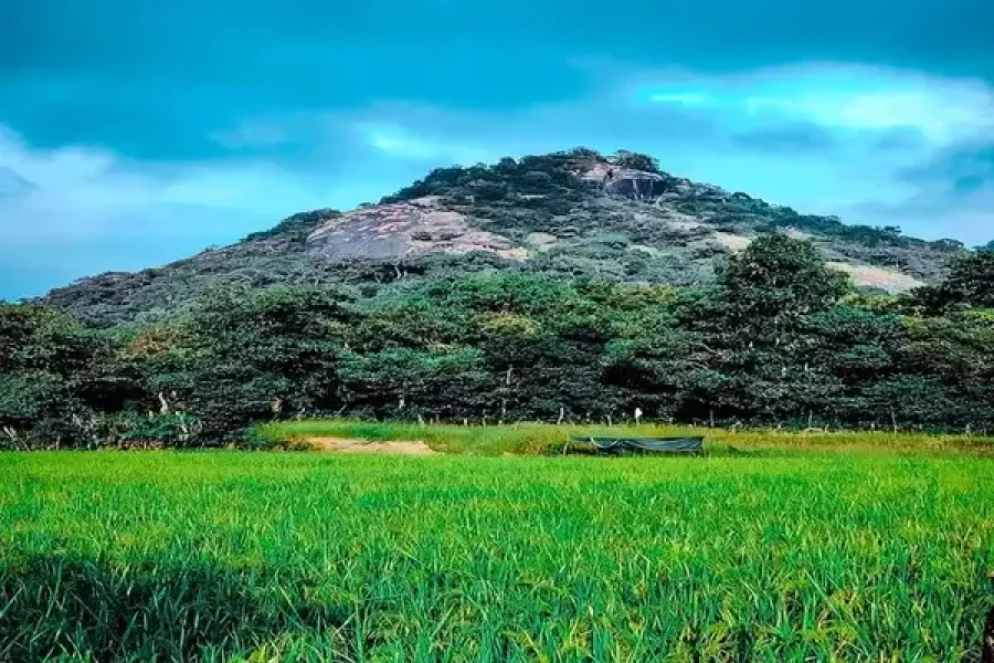 Kundadri Hills – Karnataka