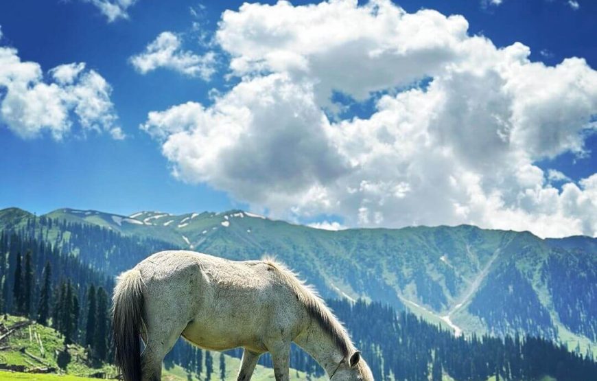Bangus Valley – Jammu and Kashmir