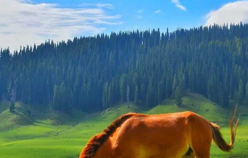 Bangus Valley – Jammu and Kashmir