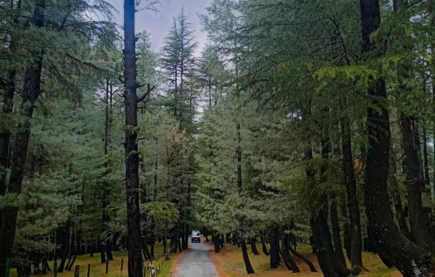 Lolab Valley – Jammu and Kashmir