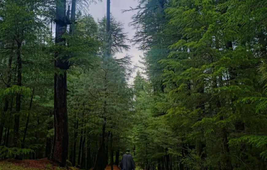 Lolab Valley – Jammu and Kashmir