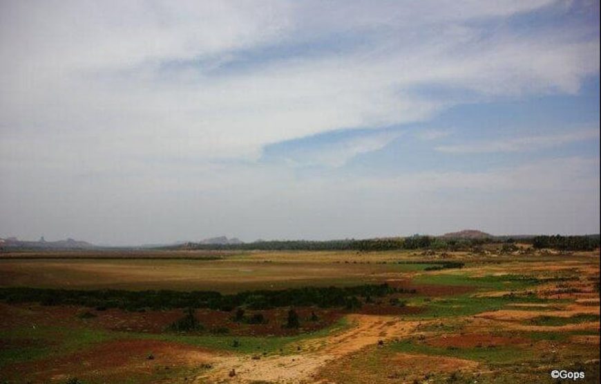 Kanva Backwaters / Kanva Dam – Karnataka