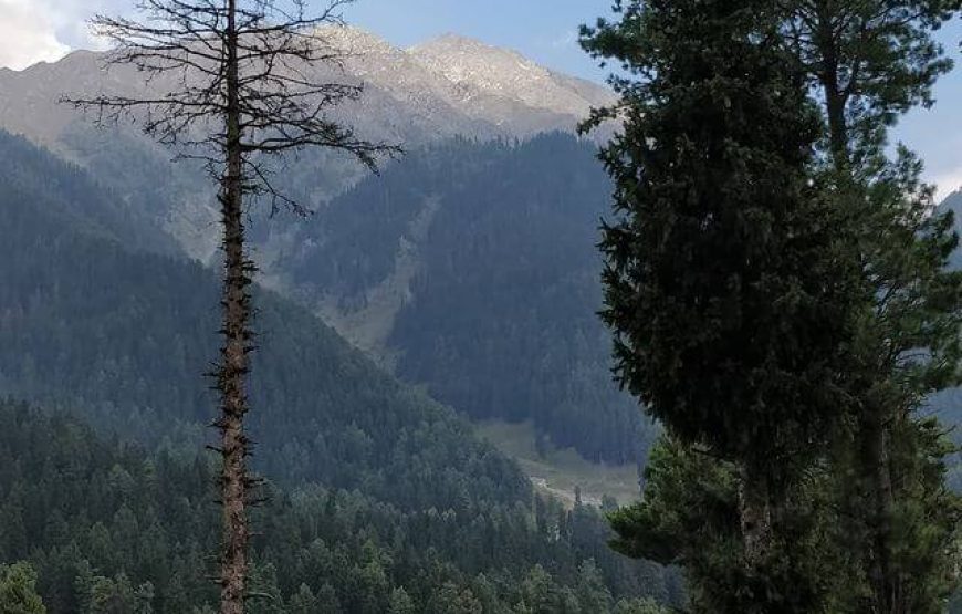 Deno Valley – Jammu & Kashmir