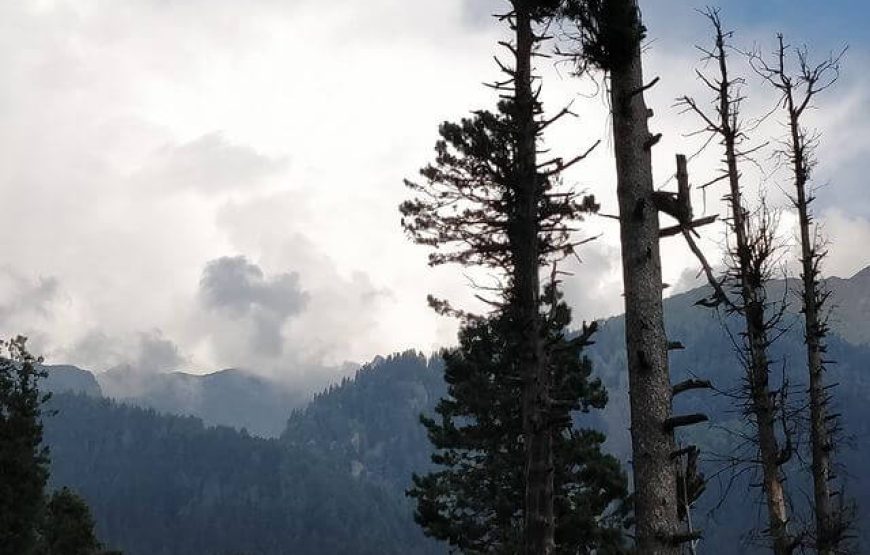 Deno Valley – Jammu & Kashmir