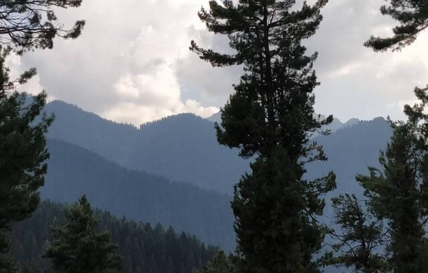 Deno Valley – Jammu & Kashmir