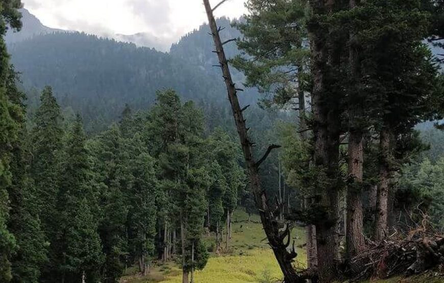 Deno Valley – Jammu & Kashmir