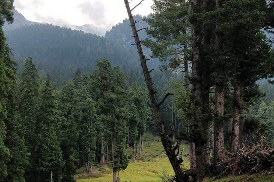 Deno Valley – Jammu & Kashmir