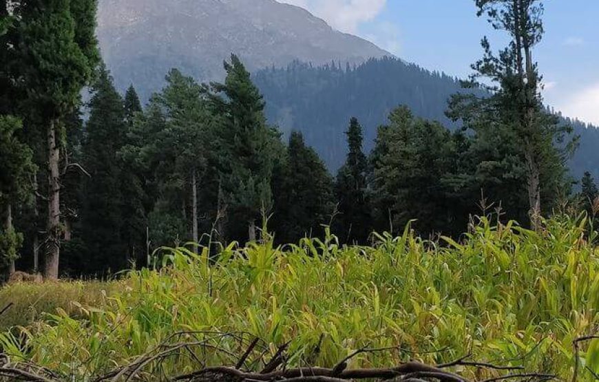 Deno Valley – Jammu & Kashmir