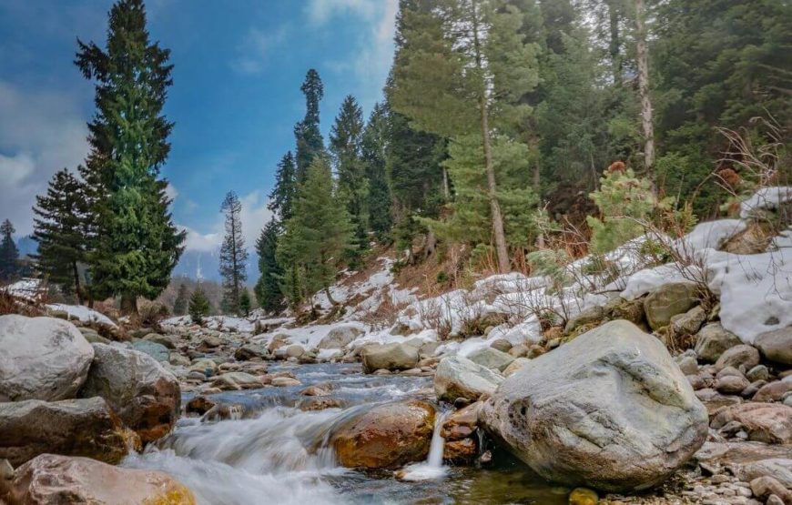 Chatpal village – Jammu and Kashmir