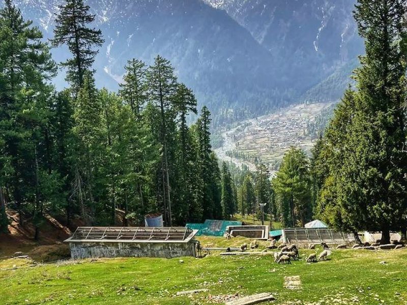 Dabyan Valley – Jammu & Kashmir