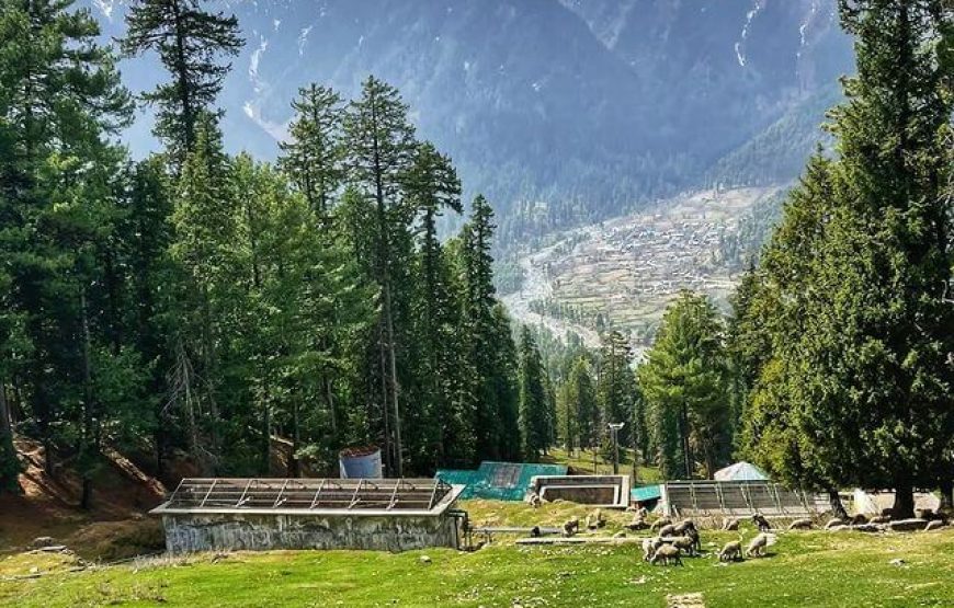 Dabyan Valley – Jammu & Kashmir
