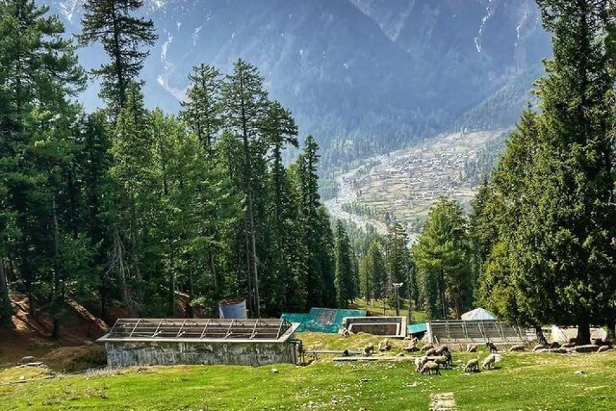 Dabyan Valley – Jammu & Kashmir