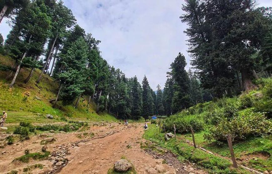 Dabyan Valley – Jammu & Kashmir