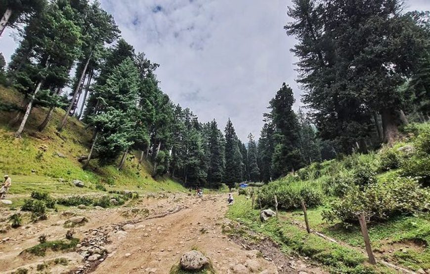Dabyan Valley – Jammu & Kashmir