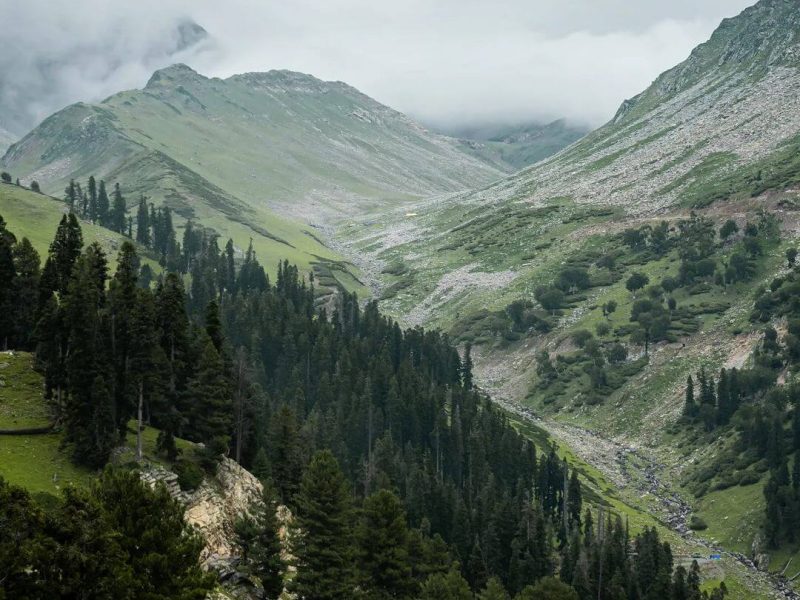 Daksum Valley – Jammu and Kashmir
