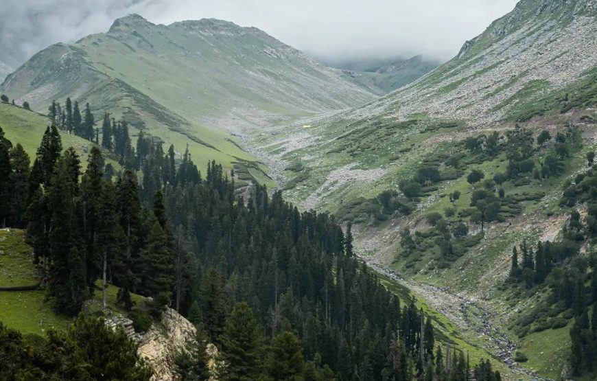 Daksum Valley – Jammu and Kashmir