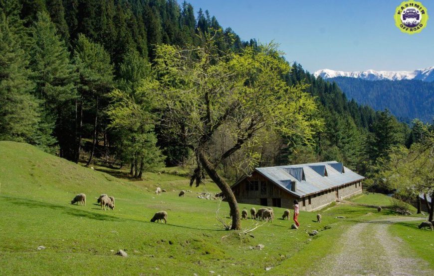 Daksum Valley – Jammu and Kashmir