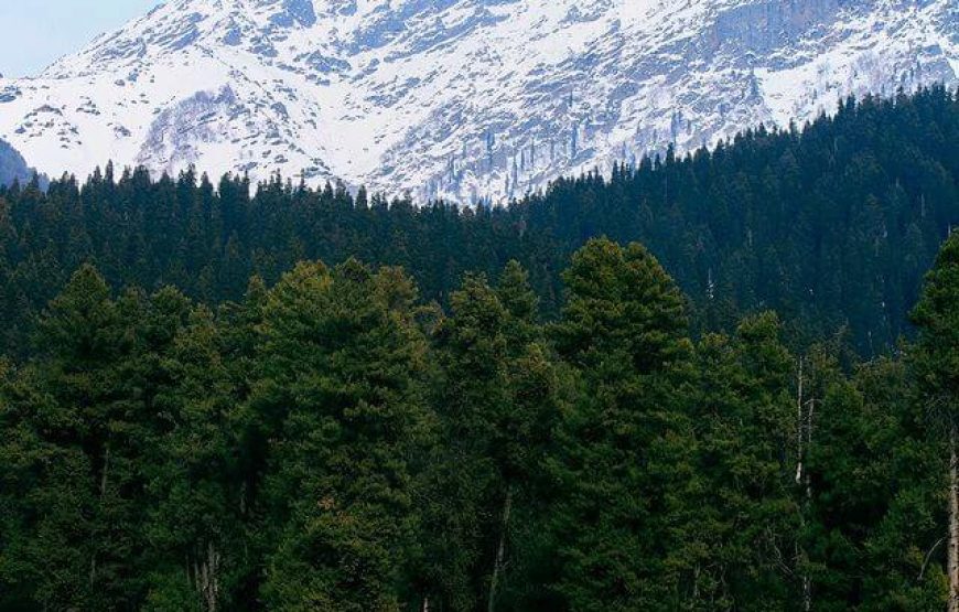 Baisaran Valley – Jammu & Kashmir