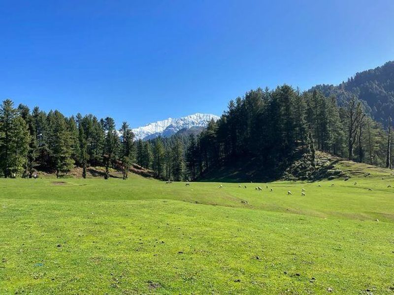 Poonchu Valley – Pir Panjal Range, Jammu & Kashmir
