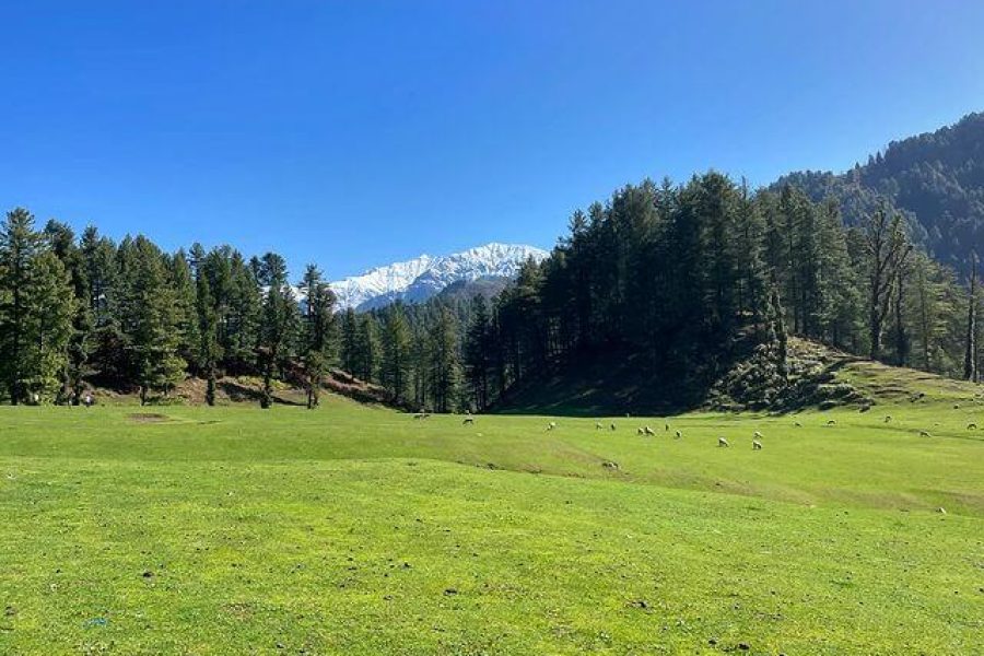 Poonchu Valley – Pir Panjal Range, Jammu & Kashmir